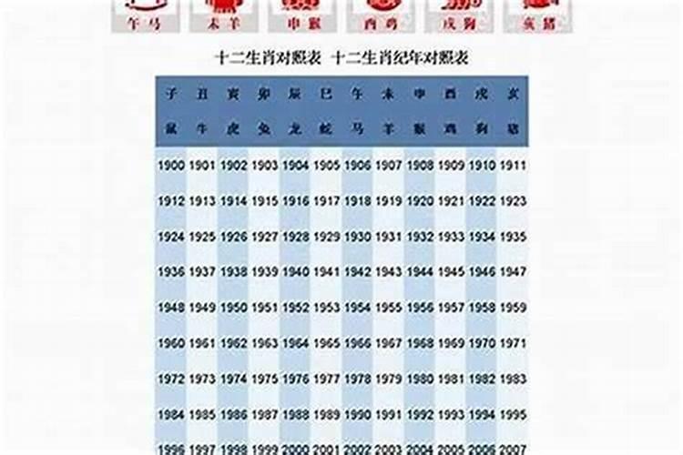 1983年属猪人的命运