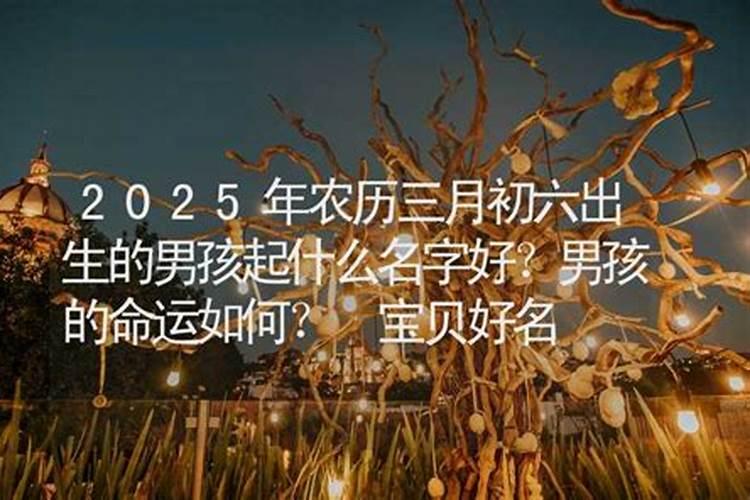 农历三月十五出生的男孩命运