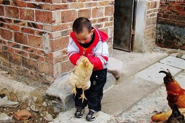 犯太岁需要化解吗