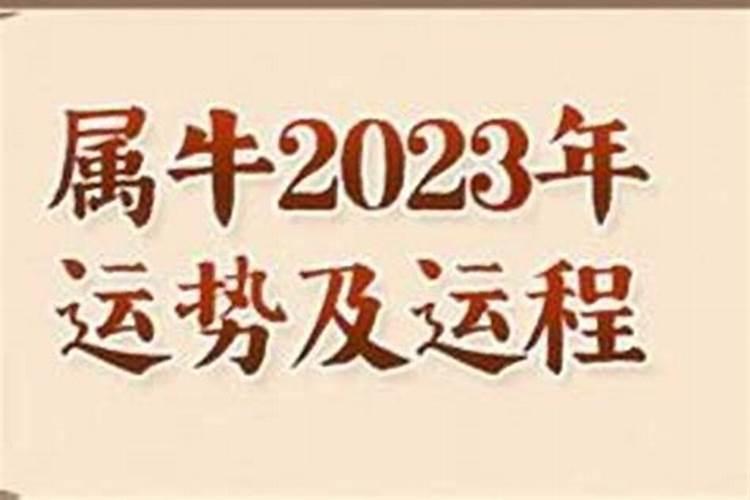 73牛女2025年每月运程