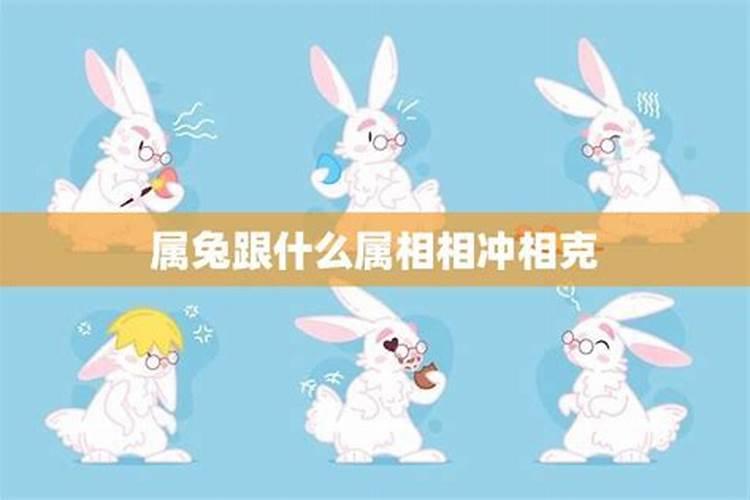 冲兔是什么意思 冲兔对谁不吉？