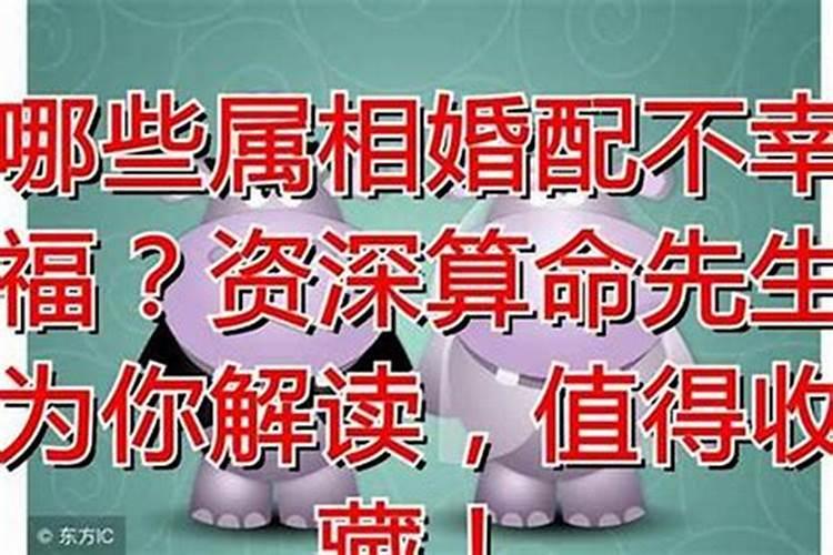 哪些属相婚配不幸福