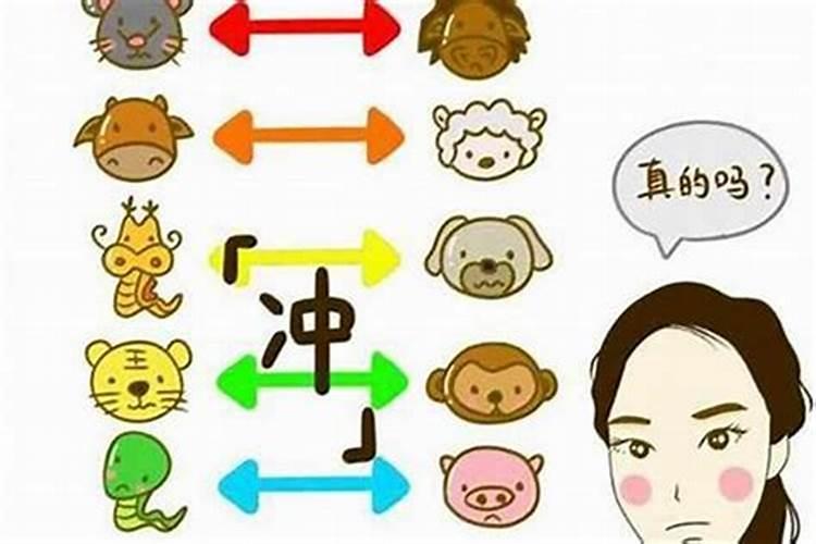 哪些属相婚配不幸福 生肖不合能不能结婚？