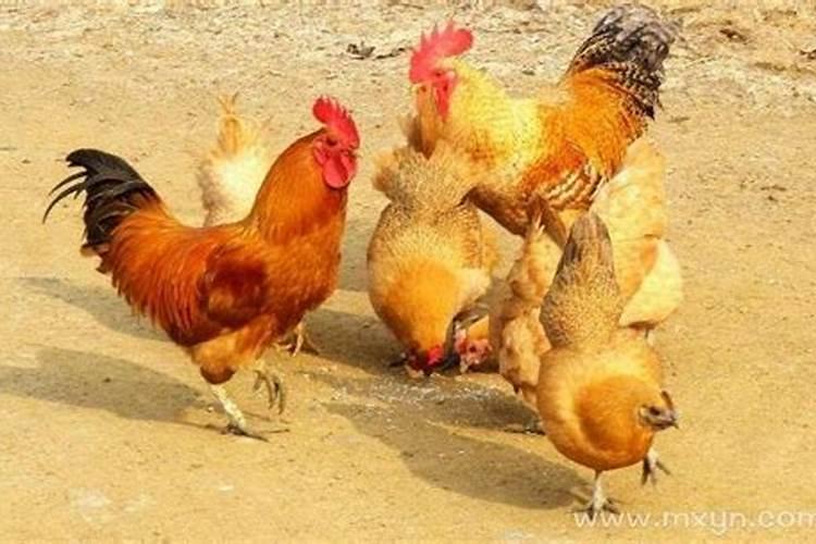 八字哪里看婚姻状况 生辰八字查前世姻缘？