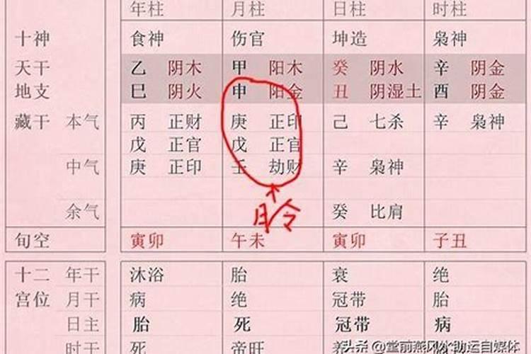 月属什么生肖每个月份的属相是什么
