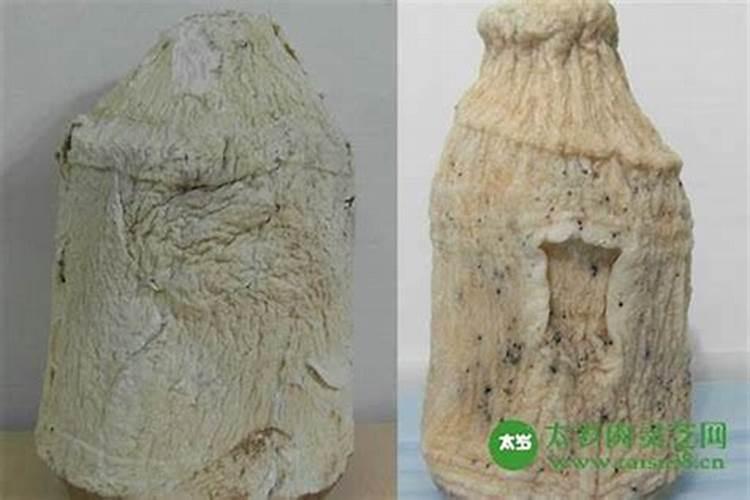 吃了太岁对身体有什么好处
