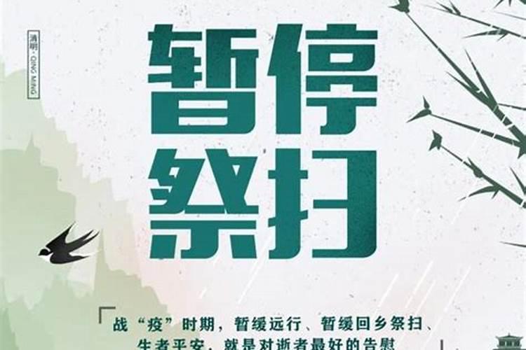 从2020年到2031年五行都是什么？