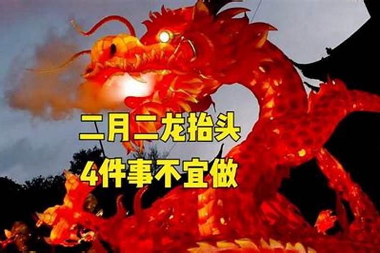 属兔男一生运势,1987年属兔人的命运