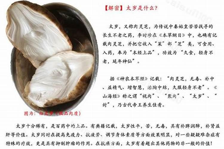 犯太岁什么意思,犯太岁有什么风水禁忌？