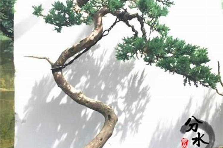 石榴木男和大溪水女相配吗