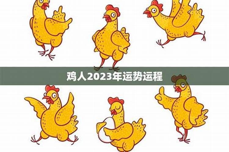 鸡年2025年的运势怎么样