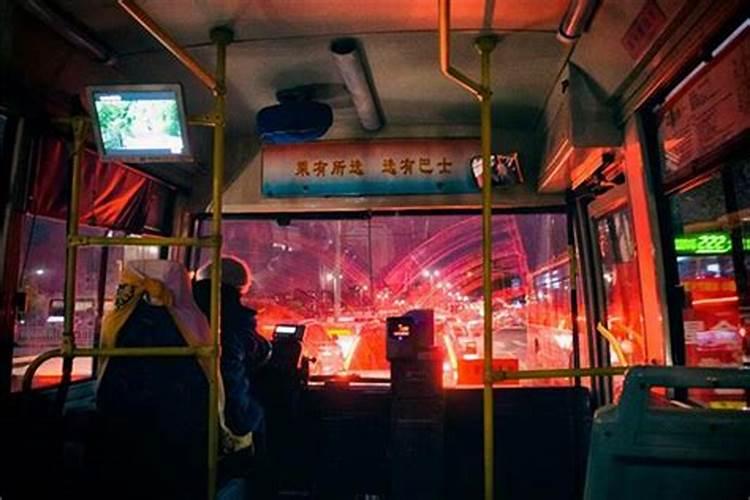 1981年属什么生肖今年多大了