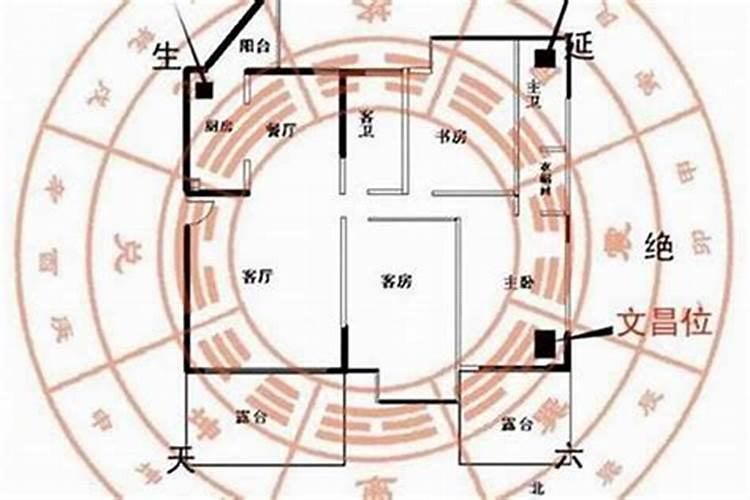 属鼠本命年前一年倒霉不顺 有什么讲究