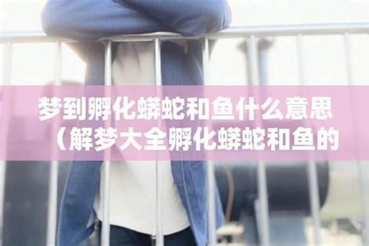 梦见蟒蛇和鱼的预兆
