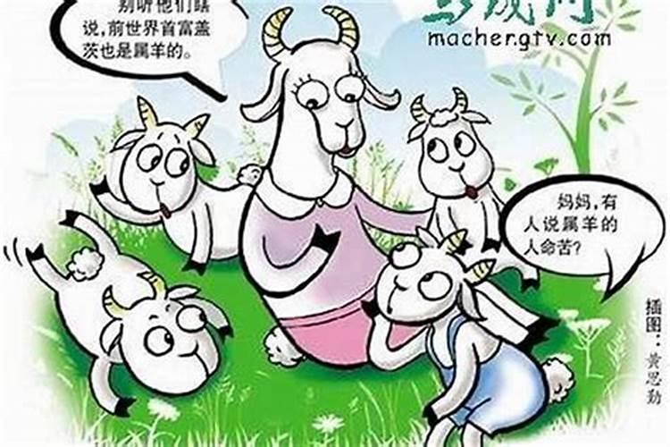 属虎和属狗的八字配吗 做夫妻好吗？