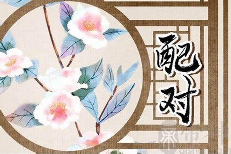 属鼠最佳婚配属相,属鼠的和什么属相最配属鼠的最佳配偶属相