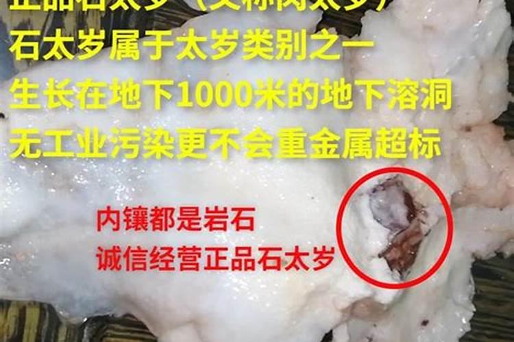 石太岁是什么东西