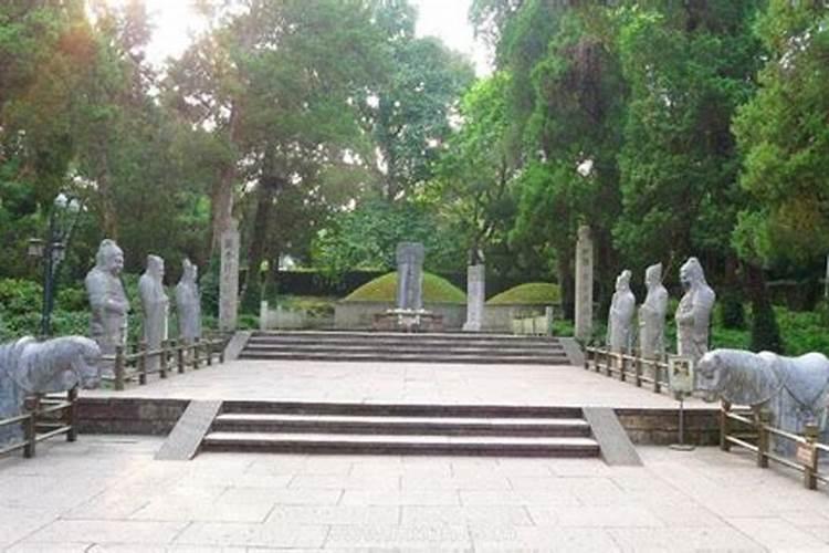 本命年运势的问题,请大师解答(我是农历1985年8月26 晚上6点43分)出生...