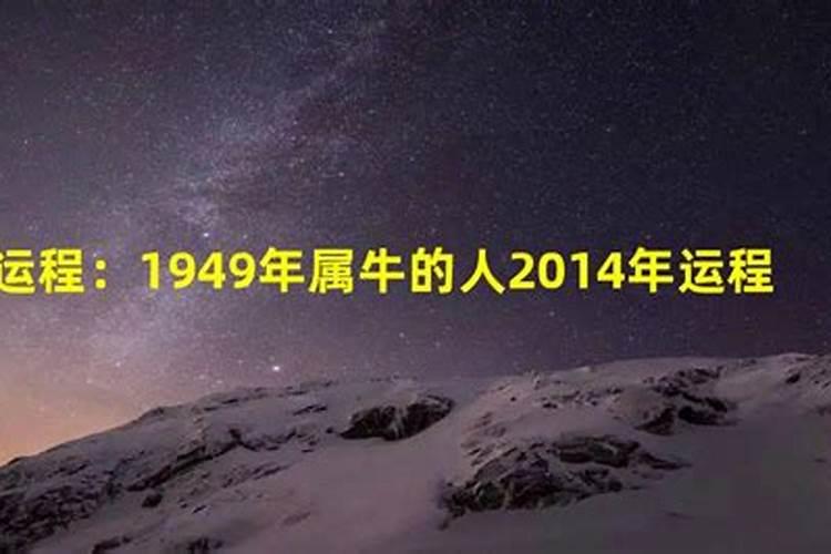 属牛1949出生2025年几岁了