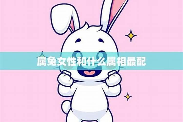 女属兔和男属猪的合不合合婚