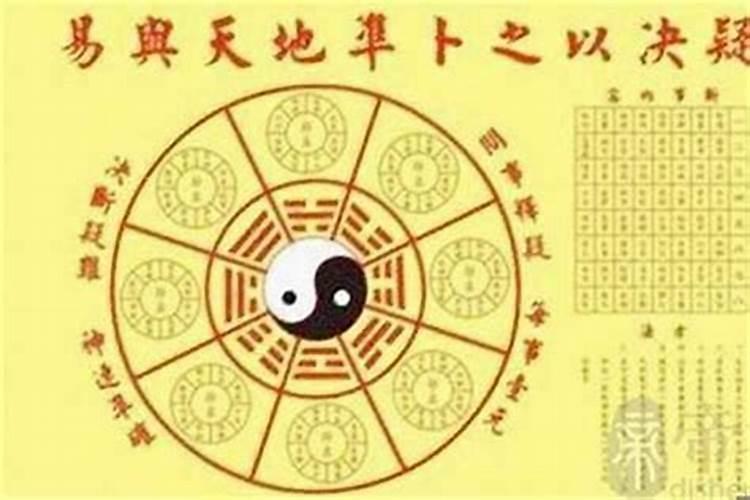 八字中的枭是什么意思 什么是八字中的枭