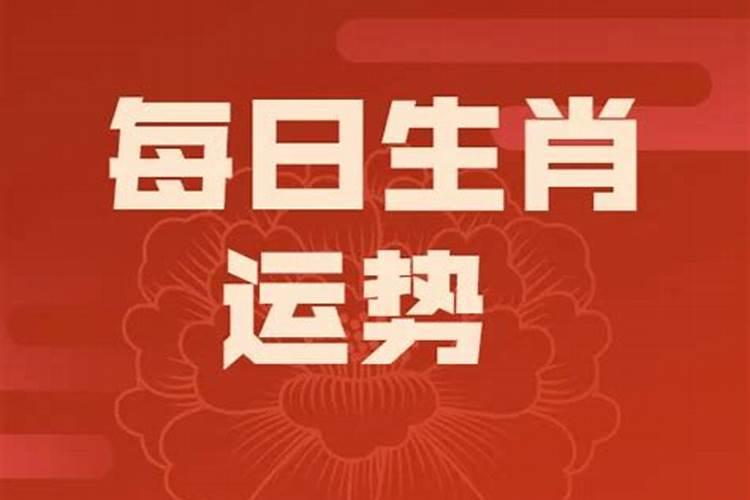 属蛇的今年下半年运势如何 65年蛇男2024 年下半年状况