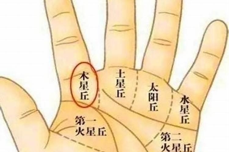 65出生的蛇今年每月运气