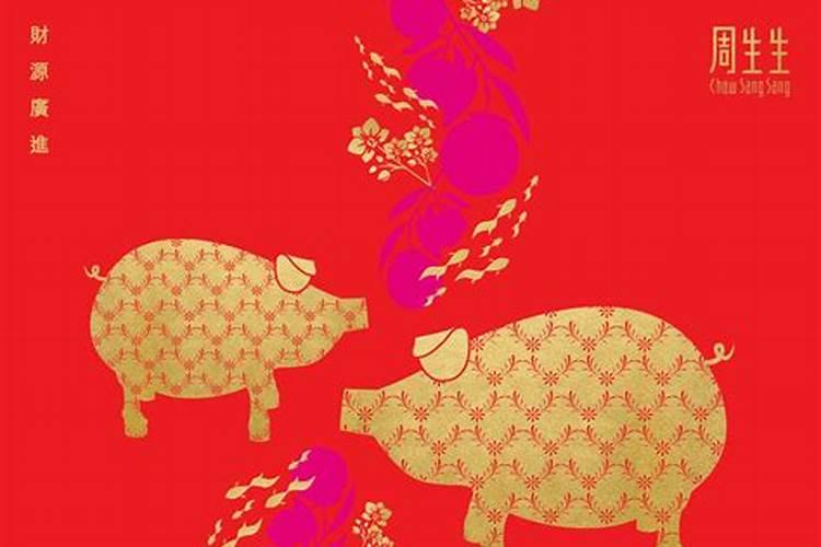 巨匠详解:属猪2023年全年运势运程及每月运程？