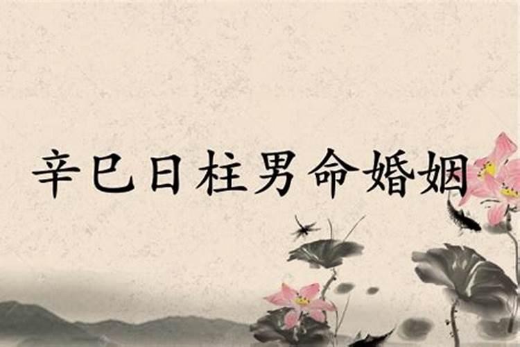 辛巳日柱男命运势如何 命运好不好