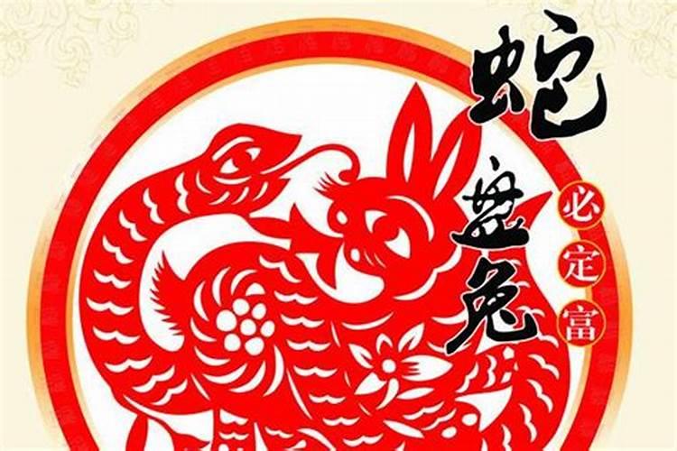 蛇和兔在一起对谁不利蛇兔两生肖相配吗？