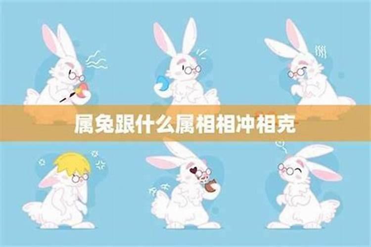 属兔人与什么属相配最好