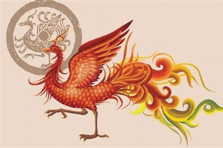 春节的特点是什么