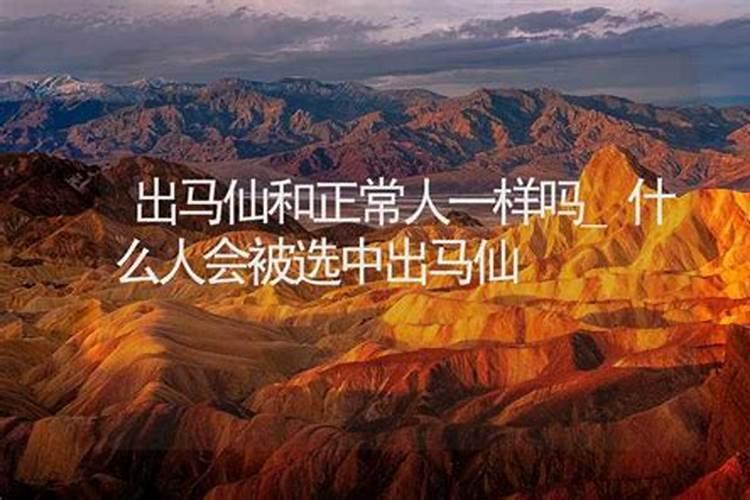 出马仙算命准吗