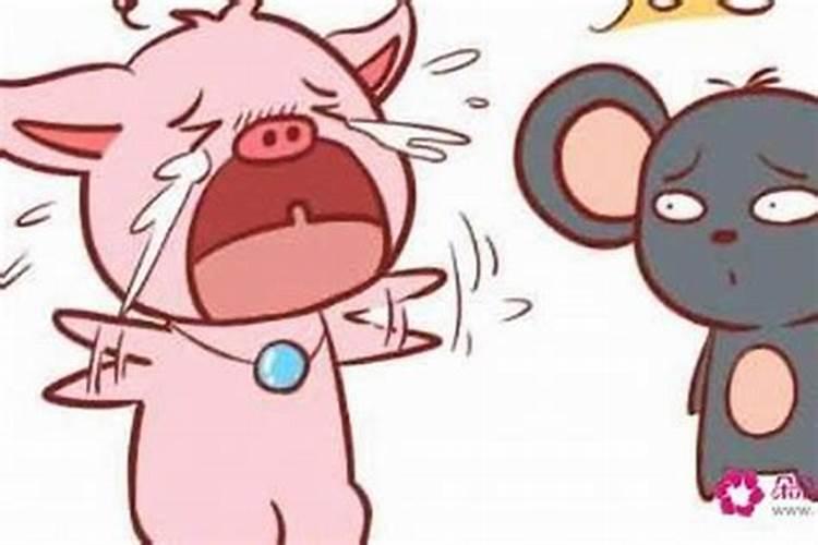 六爻测婚姻