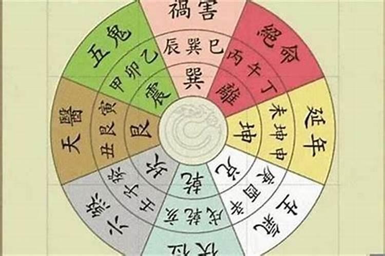 什么是八字中天医怎么查？