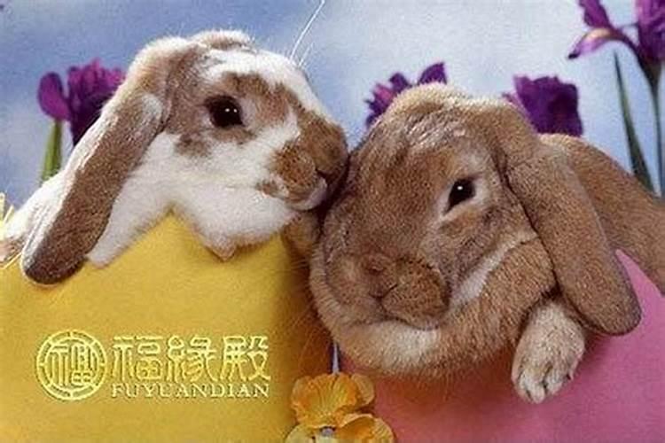 还阴阳债怎么还