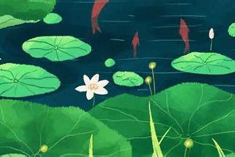 属相和星座不合的婚姻怎么样,如果星座相配属相不配可以在一起吗百度...