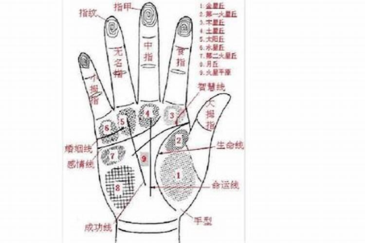 洛阳有哪些道教的名胜古迹？