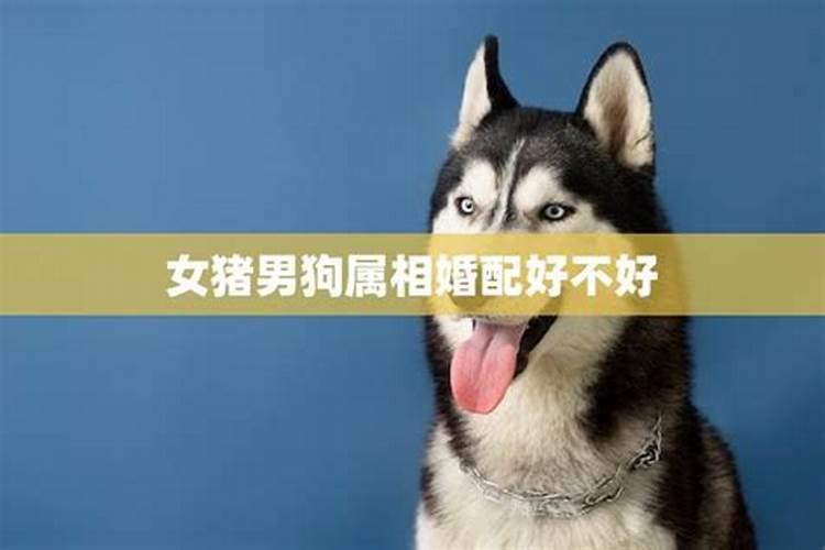 冬天车保养都有哪些项目
