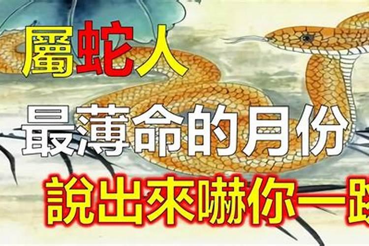 1955年属羊是什么星座55年8月丨7日55
