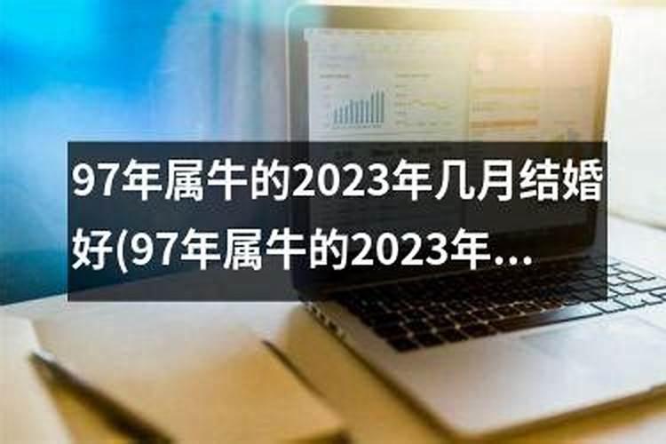 97属牛男2025年的运势和婚姻状况