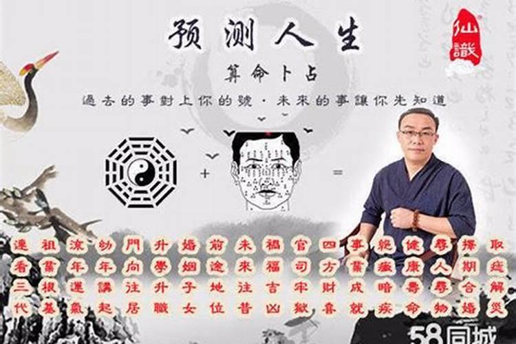 2025属鼠人每月运势及运程如何