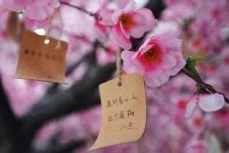 怎么增加女人的桃花运