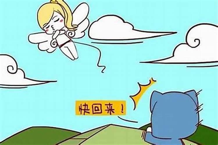 1988属龙的男和1982属狗的女生活在一起注意什么风水
