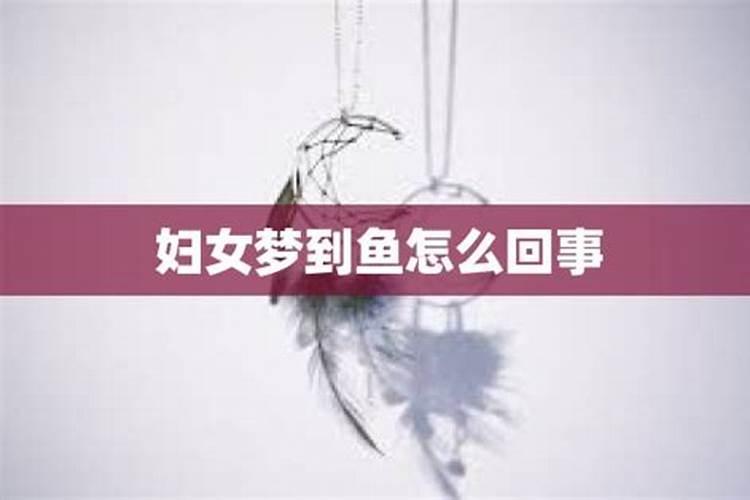 女人梦到很多活鱼是什么征兆