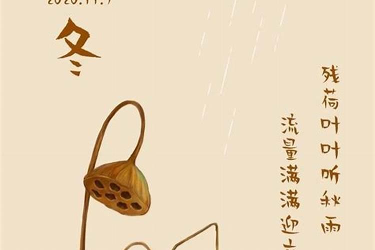 立冬节气出生的女孩名如何起大吉大利的名字集锦