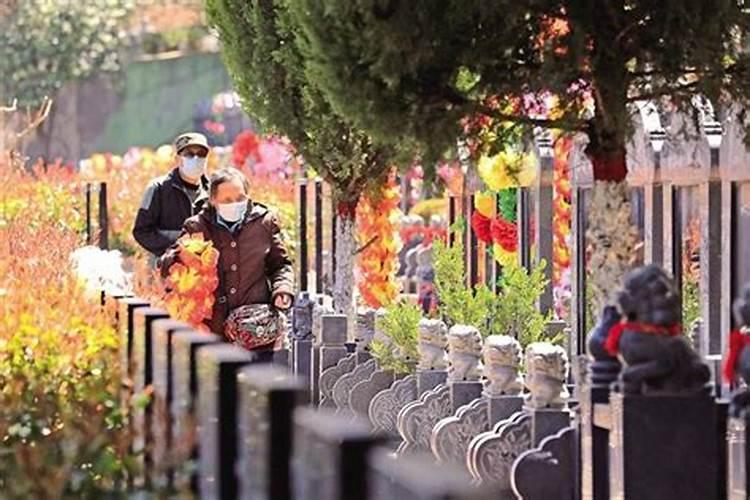 请问清明节为什么用鲜花？