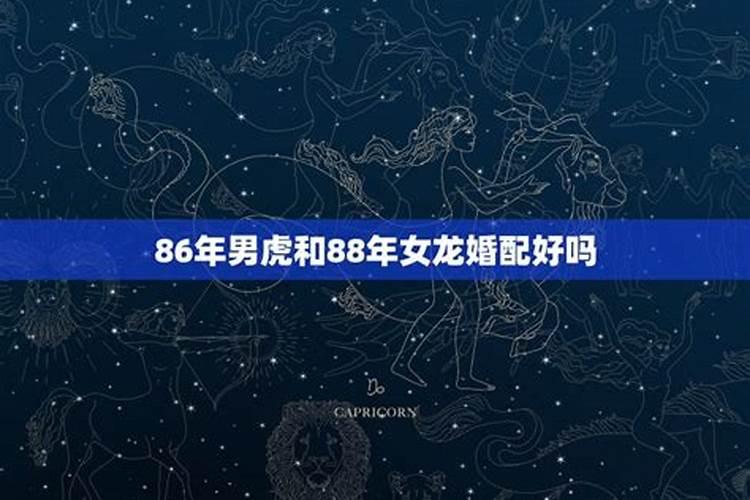 86属虎男和88属龙女相配婚姻状况如何好吗 属虎的和属龙的结婚好吗婚姻...