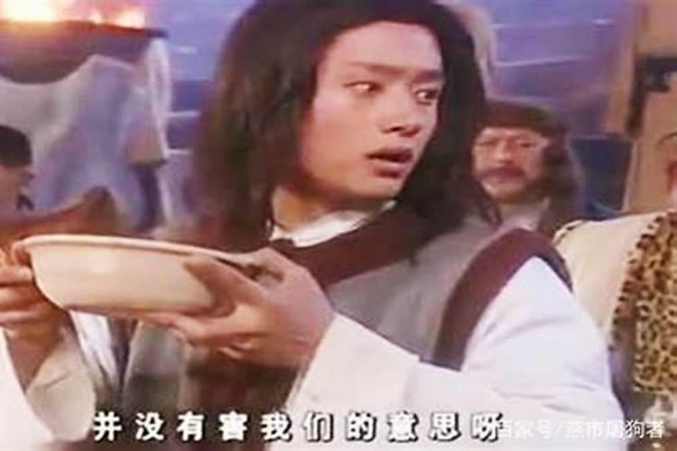 金庸群侠传5侠客岛支线怎么过 侠客岛支线剧情通关攻略