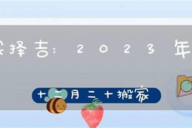 属龙男人和属兔女人相配吗